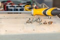 A screw driver and a bunch of rusty screws Royalty Free Stock Photo