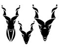 Screw horn markhor mountain goat black vector head silhouette design set Royalty Free Stock Photo