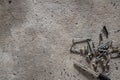 Screw, nail on concrete texture background. Closeup of screws and nails on cement floor, copy space Royalty Free Stock Photo