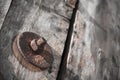 The nut is rust on old wood Royalty Free Stock Photo