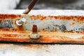 nut rusted sticking iron plate on concrete floor select focus with shallow depth of field Royalty Free Stock Photo