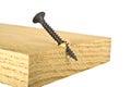 Screw screwed into wooden plank Royalty Free Stock Photo