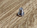 Screw on a wooden background