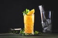 Screwdriver, classic alcoholic cocktail with vodka, orange juice and ice, garnished with fruit slice and mint. Dark background,