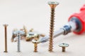 Screwdriver and different screws wrapped in board Royalty Free Stock Photo