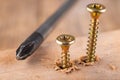 Screwdriver and screws for connecting wooden elements. Carpentry tools on a workshop table