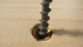 Screwdriver unscrews black selftapping screw from wooden board. Removing metal screw from a wooden surface. Spiral