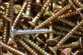 The screws Royalty Free Stock Photo