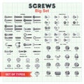 SCREWS Big Set