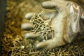 Screws in hand, hand in rubber glove, construction concept Royalty Free Stock Photo