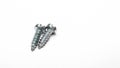 Screws isolated on white background. Metal or steel self tapping flat head stainless screws in chrome finish, copy space