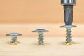 Screws screwdriver twist in wooden board. Joinery and construction work close up. Royalty Free Stock Photo