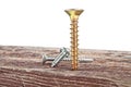 Screws screwed into old wooden plank, white background Royalty Free Stock Photo