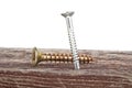 Screws screwed into old wooden plank, white background Royalty Free Stock Photo