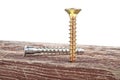 Screws screwed into old wooden plank, white background Royalty Free Stock Photo