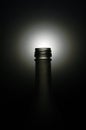 Screwtop Bottle. Royalty Free Stock Photo