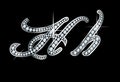 Script Diamond Bling Hh Letters