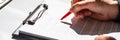Script Grammar And Spelling Edit