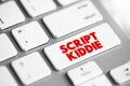 Script Kiddie is someone that uses existing software to hack computer systems belonging to others, text concept button on keyboard Royalty Free Stock Photo