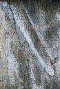 Script in stone at Roman Forum, Italy. Royalty Free Stock Photo