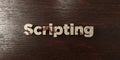 Scripting - grungy wooden headline on Maple - 3D rendered royalty free stock image
