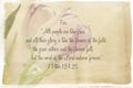 Scripture Verse with Background Image