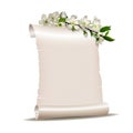 Scroll blank paper with blossoming cherry branch