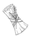 Scroll with branch of rosemary tied with rope, witchcraft, conspiracies, spells, halloween attribute, hand drawn doodle Royalty Free Stock Photo