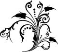 Scroll, cartouche, decor, vector