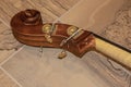 The scroll of a cello composed of nut pegbox and pegs closeup lying on tile floor - selective focus