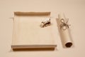 A scroll of old parchment scroll and a symbol of 2021 bull on a beige background with room for text and recordings Royalty Free Stock Photo