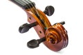 Scroll and pegbox of violin Royalty Free Stock Photo
