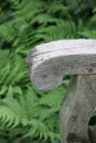 Scrolled end of wooden bench arm with green ferns in background Royalty Free Stock Photo