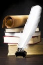 Scrolls of parchment with a pen and inkwell against the background of a pile of books