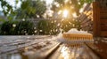 Scrub Brush on Wooden Surface with Suds Royalty Free Stock Photo