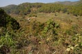 Scrub jungle mountains