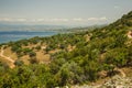 Scrubby hillside Royalty Free Stock Photo