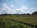 Scrubland with late afternoon sunshine