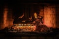 Scruffy dog in front a warm fireplace