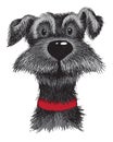 A sketch of a cute friendly scruffy dog Royalty Free Stock Photo