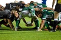 Benetton Treviso vs Dragons Rugby