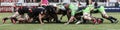 Rugby Scrum Royalty Free Stock Photo