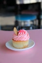 Scrumptious coconut cupcake with cherry frosting