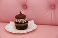 Scrumptious cupcake and creamy frosting Royalty Free Stock Photo