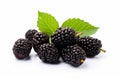 Scrumptious Fresh black mulberries. Generate Ai