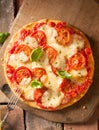 Scrumptious fresh cheese and tomato pizza