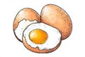 Scrumptious Hand Drawn Fried Eggs Illustration Royalty Free Stock Photo