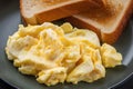 Scrumptious Scrambled Eggs Served with Toasted Bread Royalty Free Stock Photo
