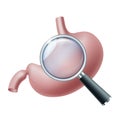 Scrutiny Stomach with magnifying glass. Examination of disease Human Stomach