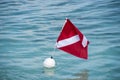 Scuba dive buoy with flag in tropical water Royalty Free Stock Photo